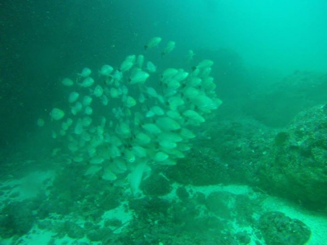 snorkel en las marietas